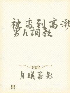 被脔到高潮的直男h调教