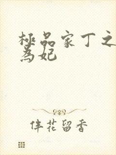 极品家丁之册母为妃