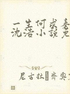 一生何求秦菲雪沈浩小说免费阅读全文笔趣阁封面