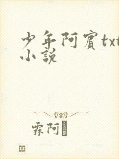 少年阿宾txt小说