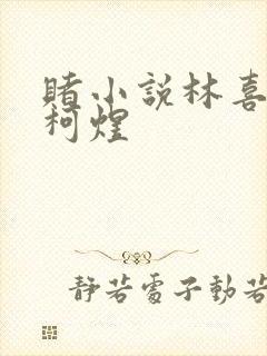 赌小说林喜朝和柯煜