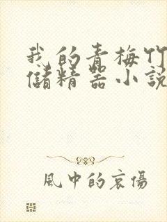 我的青梅竹马是储精器小说