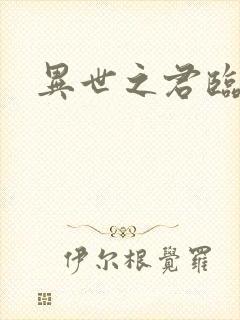 异世之君临天下封面