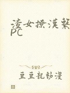 渣女撩汉系统NPC封面