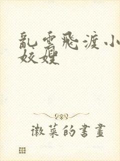 乱云飞渡小说之姣嫂