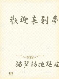 欢迎来到梦乐园封面