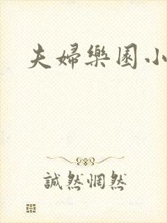 夫妇乐园小说封面