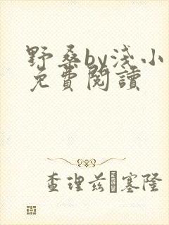 野桑by浅小说免费阅读