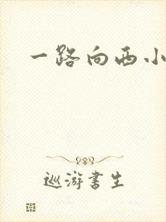 一路向西小说