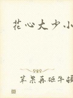 花心大少小说封面