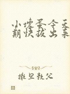 小坏蛋今天危险期快拔出来