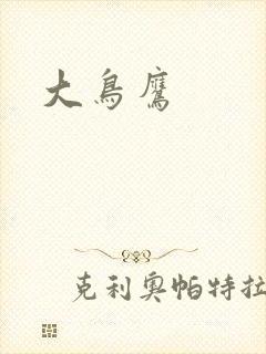 大鸟鹰封面