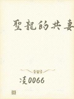 圣龙的共妻