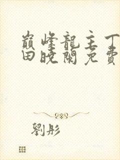 巅峰龙主丁长顺田晓兰免费阅读