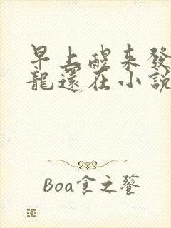 早上醒来发现巨龙还在小说