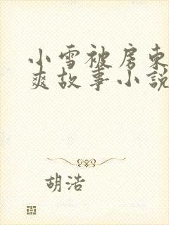 小雪被房东的好爽故事小说封面