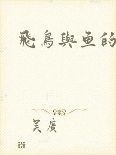 飞鸟与鱼的故事封面