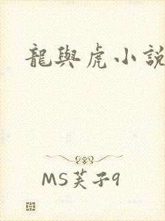 龙与虎小说封面