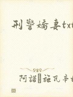 刑警娇妻txt封面