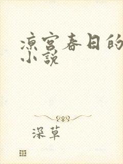 凉宫春日的忧郁小说