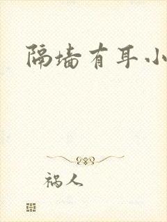 隔墙有耳小说封面