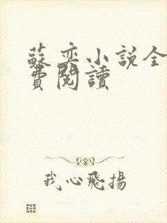 苏奕小说全文免费阅读封面