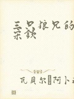 三只狼兄的宠妻宋钦封面