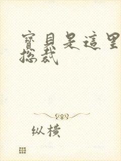 宝贝是这里对吗总裁