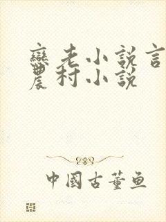 恋老小说言情网农村小说