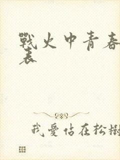 战火中青春演员表封面