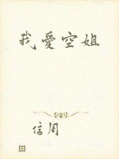 我爱空姐封面