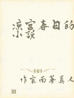 凉宫春日的忧郁小说