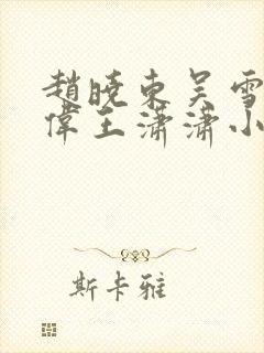 赵晓东吴雪晴郑伟王潇潇小说