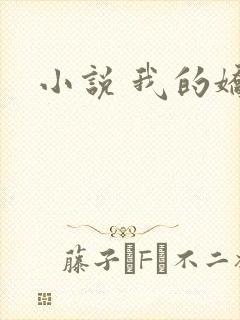 小说 我的娇妻