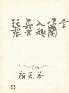 玩具入侵金银花露笔趣阁