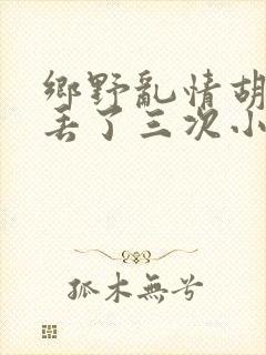 乡野乱情胡秀英丢了三次小说封面