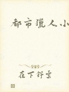 都市猎人小说封面