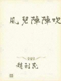 风儿阵阵吹封面