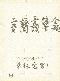 二嫁青梅全文免费阅读笔趣阁