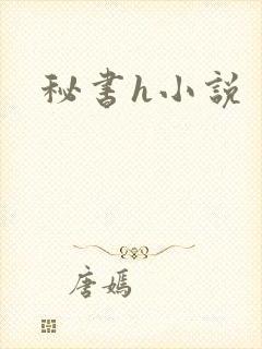 秘书h小说封面