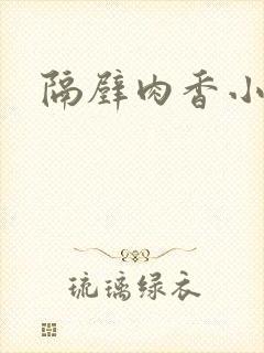 隔壁肉香小说