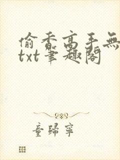偷香高手无删减txt笔趣阁