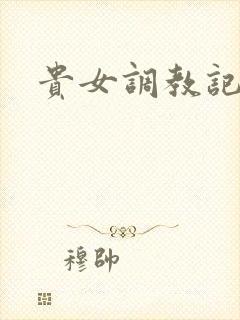 贵女调教记