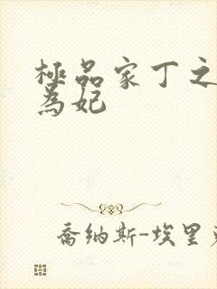 极品家丁之册母为妃