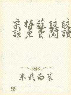 宋持苏皎皎的小说免费阅读