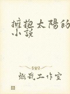 拥抱太阳的月亮小说