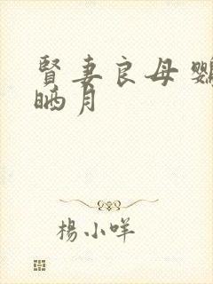 贤妻良母 鹦鹉晒月封面