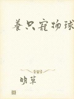 养只宠物球封面