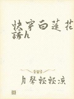 快穿白莲花的引诱h