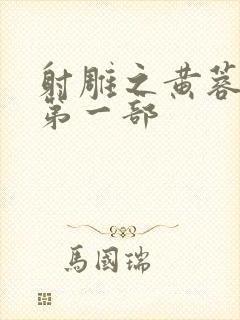 射雕之黄蓉新传第一部封面